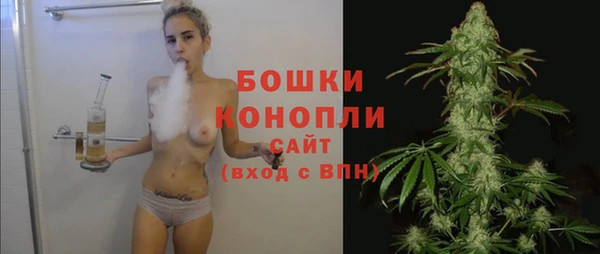 амф Белокуриха