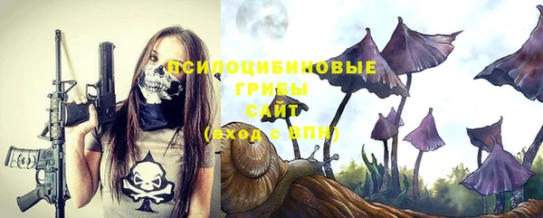 амф Белокуриха