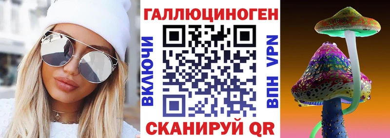 как найти наркотики  Губкинский  мориарти состав  Псилоцибиновые грибы мицелий 