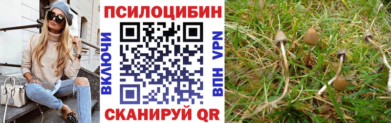 Галлюциногенные грибы ЛСД Губкинский