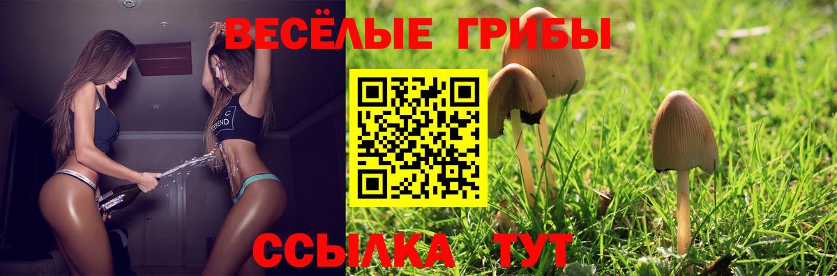 Псилоцибиновые грибы мицелий  Псилоцибиновые грибы прущие грибы  Вход с VPN  Губкинский 